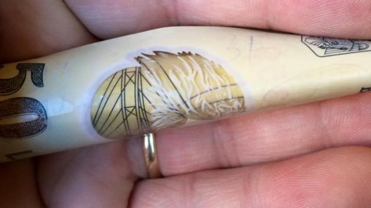 plicuri cu bani roman cluj