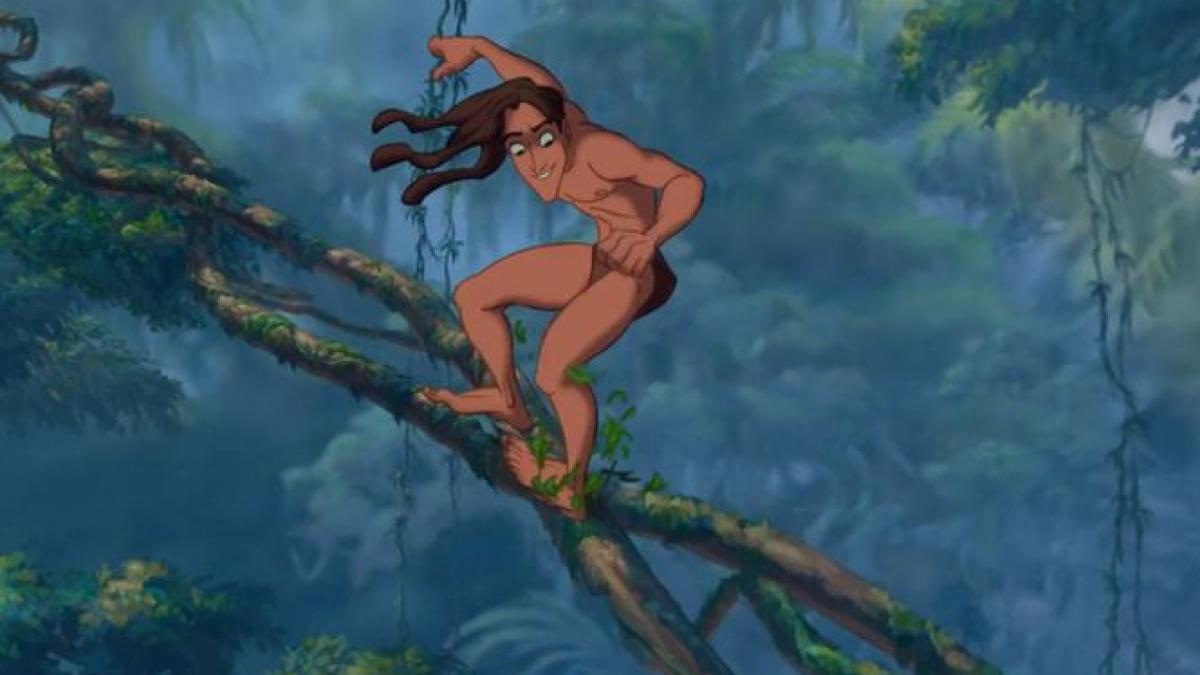 tarzan marca inregistrata timisoara