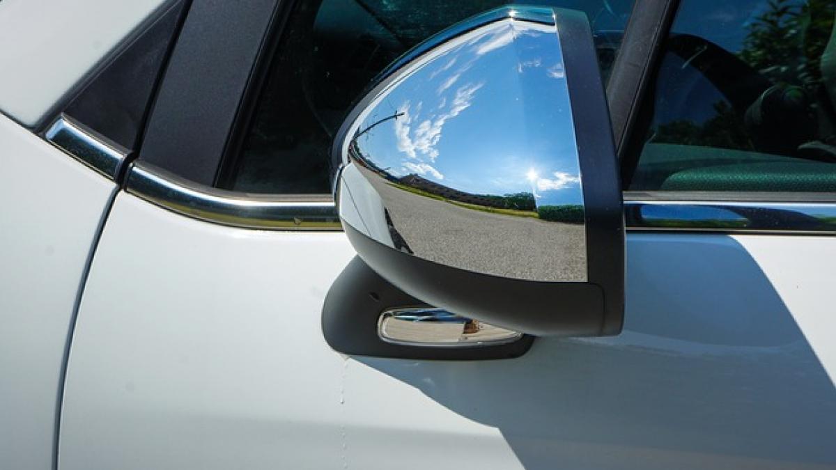 de obicei hotii care fura oglinzi de masini scapa neprinsi el nu a avut acelasi noroc