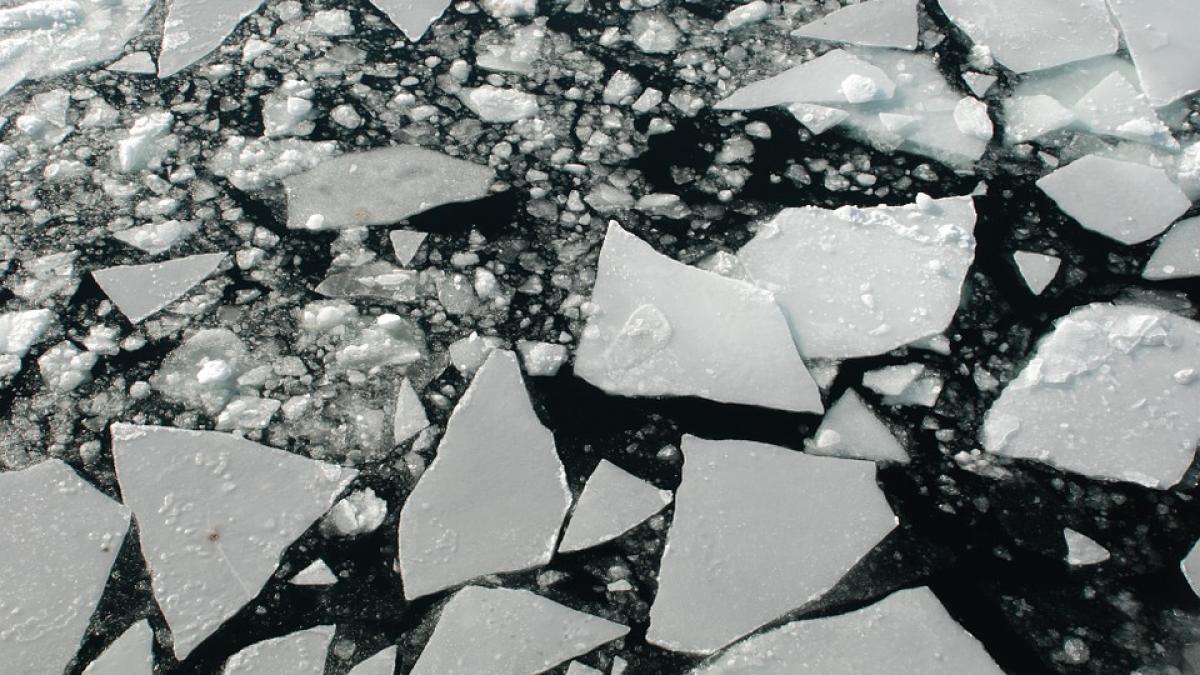 doi adulti sar dupa un copil cazut in apa unui lac inghetat din campina