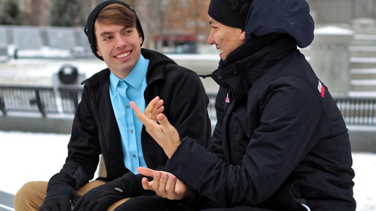 limba toki pana cuvinte putine