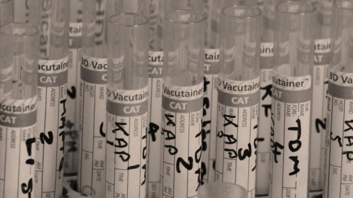 virusul zika face victime trei persoane au murit