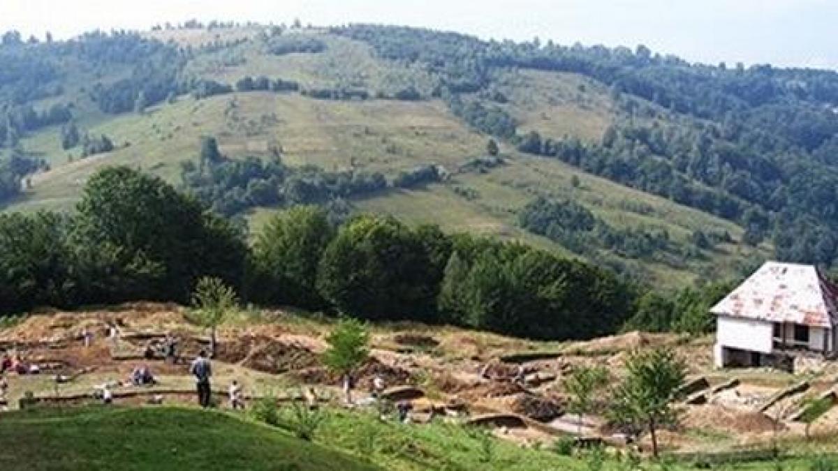 proiect guvernamental rosia montana