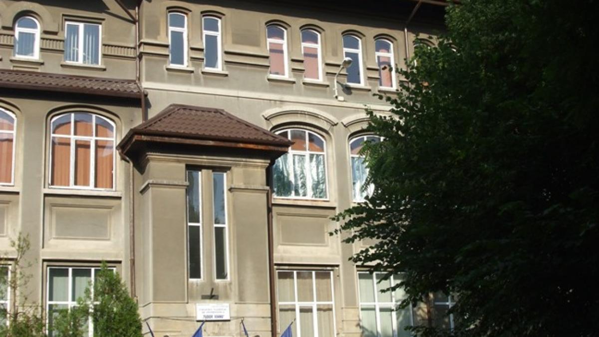 petitie colegiul tudor vianu