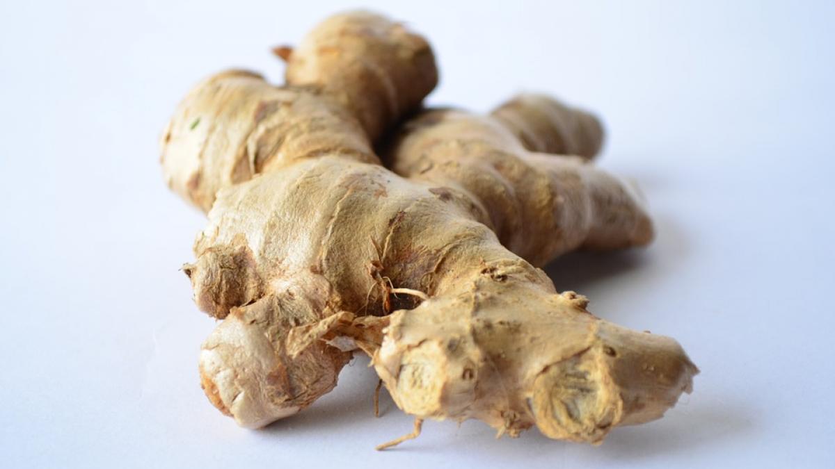 beneficiile ghimbirului