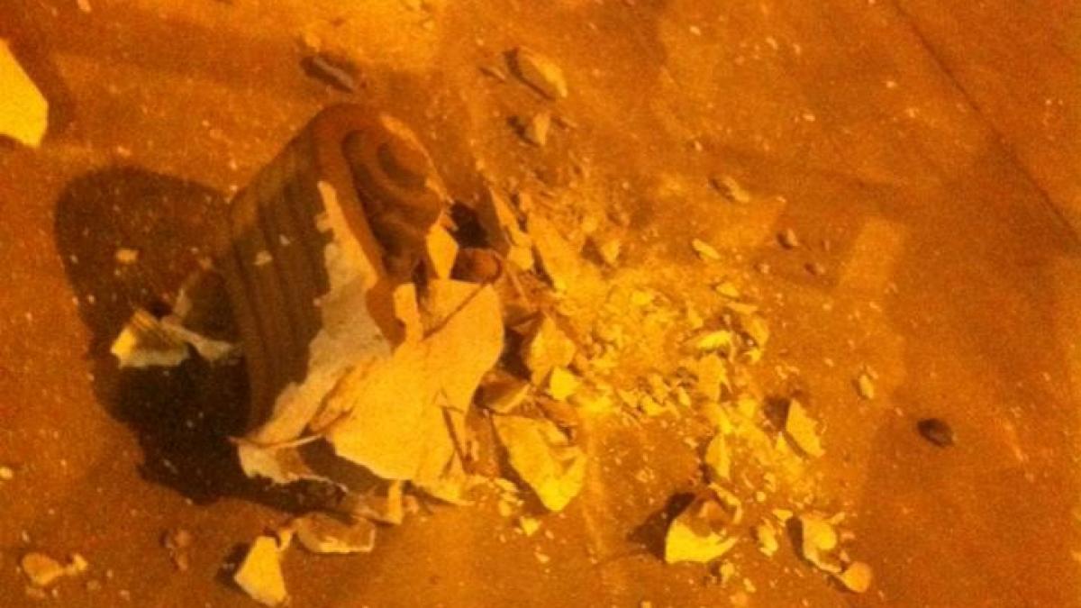 bucata capitala cladire regina elisabeta