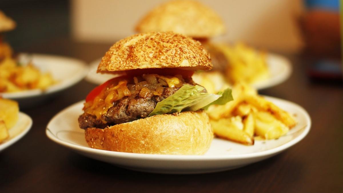 lant restaurante fast hamburger gratis