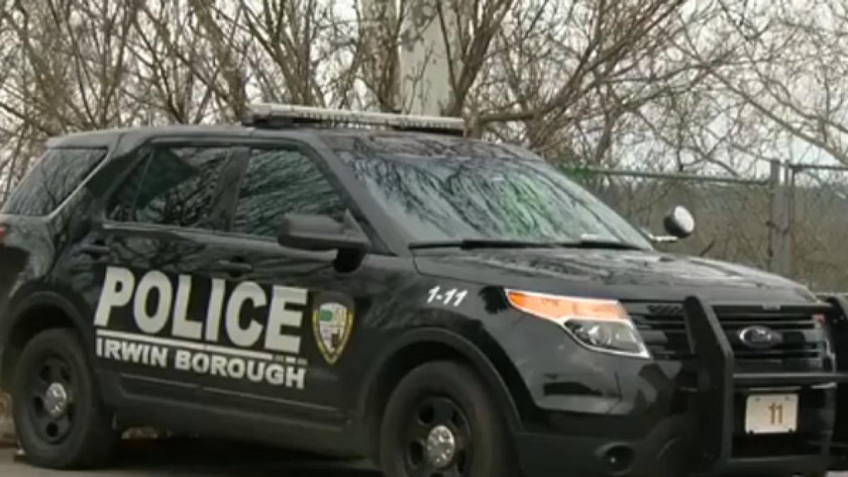 ca n filme hotul a lovit chiar cand era interogat n ai sa crezi ce a furat