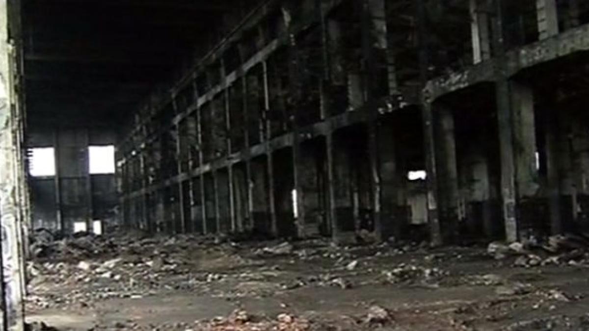 jaf danubiana pagube