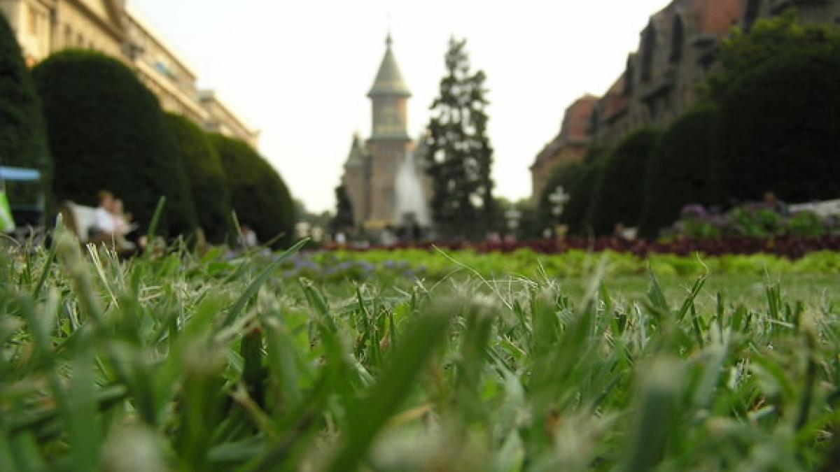 orasul din romania desemnat de forbes cel mai bun pentru afaceri in 2016