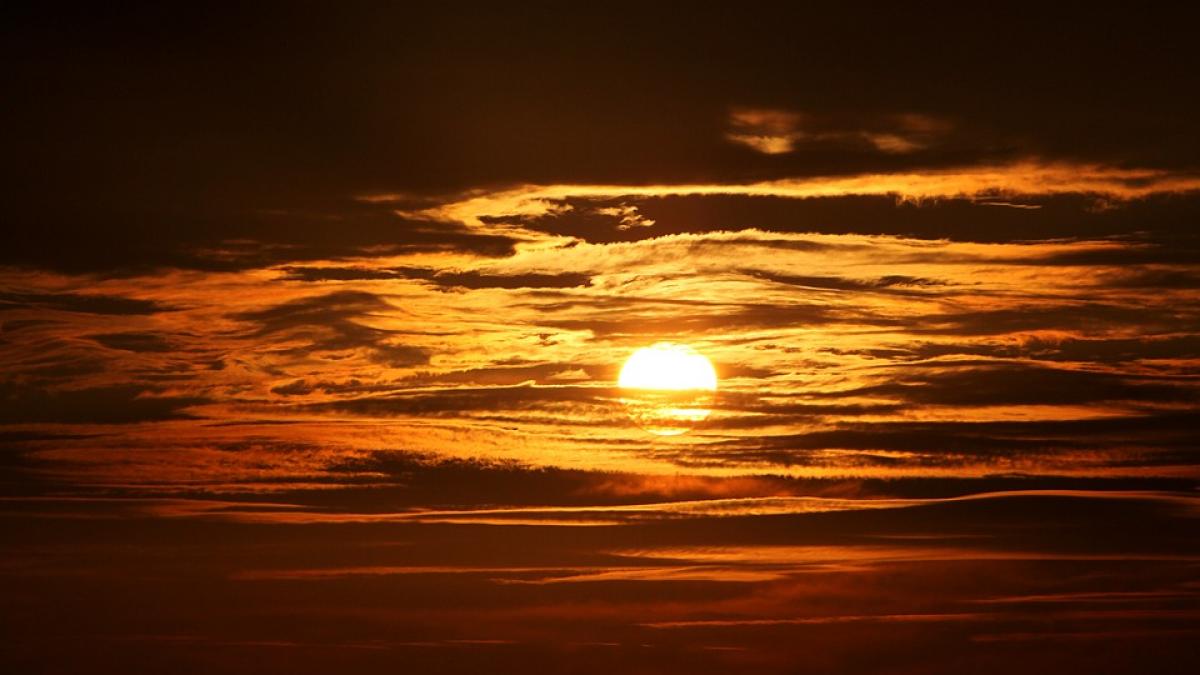 al cincilea anotimp estonia