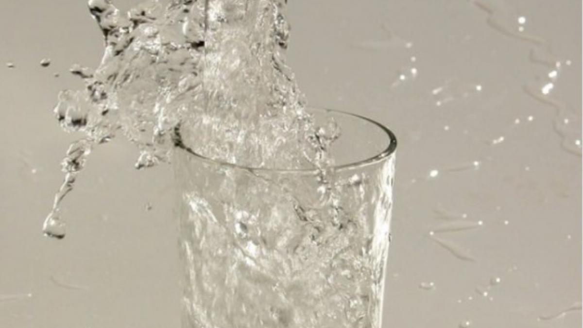 cum se incurca in explicatii oficialii de la dsp arges probe din alimente recoltate pe sarite