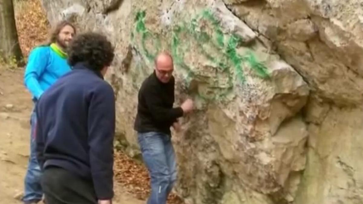 dan borcea castoru ajutor donatii