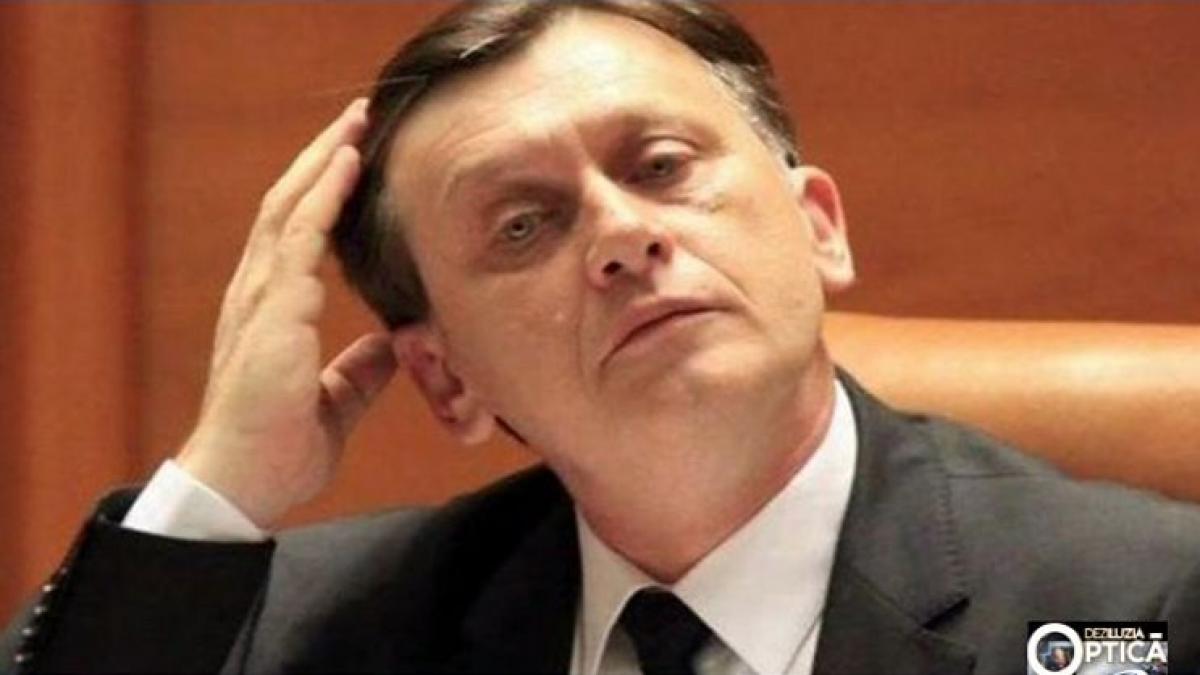 deziluzia optica crinu i crin si iara crin frunza verde baldachin