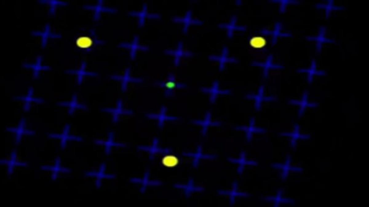 test viral iluzie optica