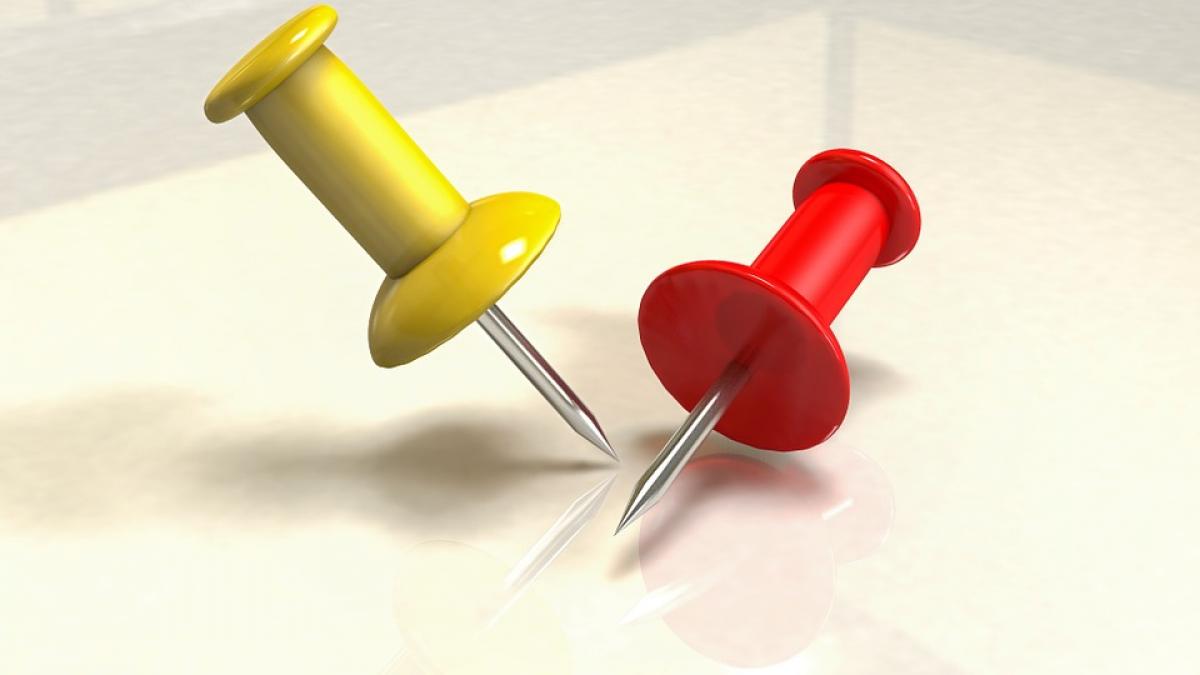 transformare camera pioneze