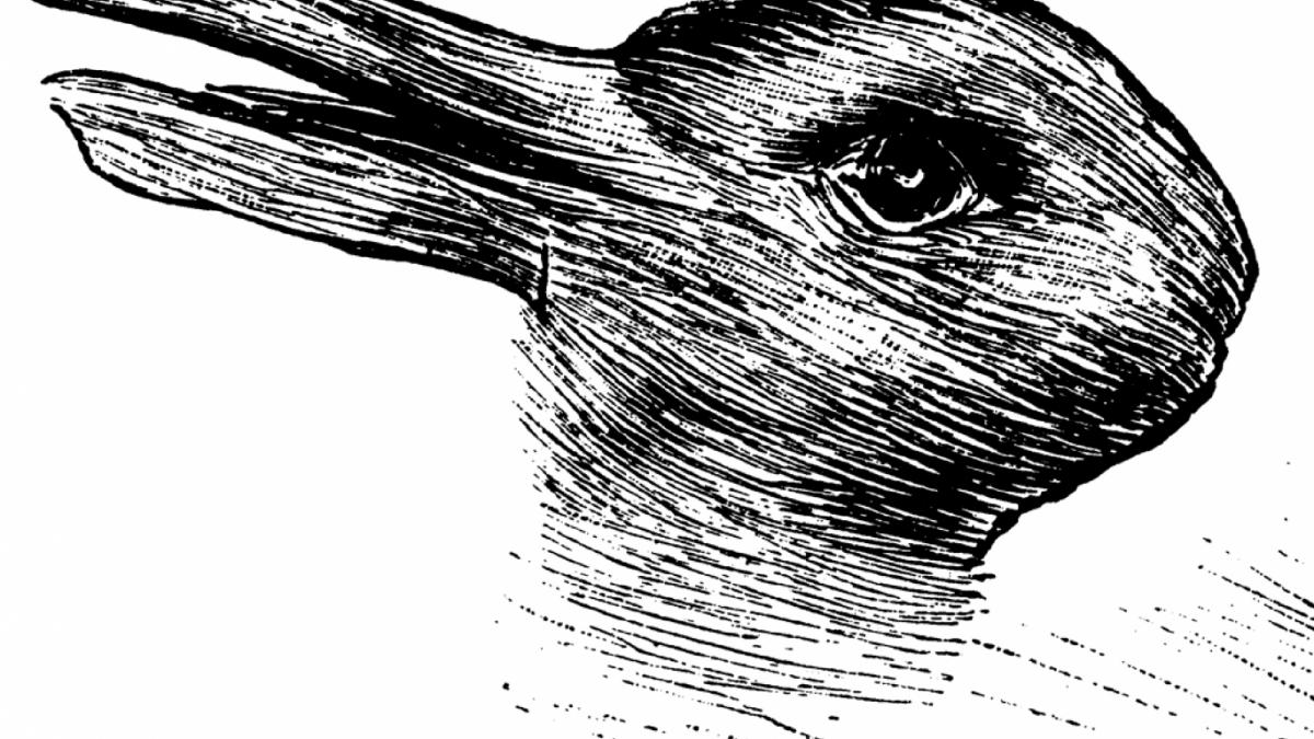 iluzia optica veche de 100 de ani care spune totul despre tine ce reprezinta de fapt imaginea
