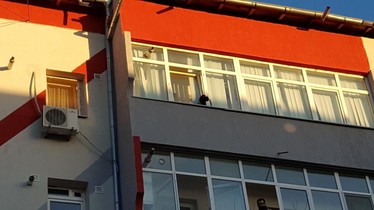 pisica salvata bloc slatina