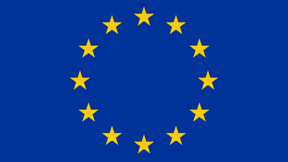 vestea abuzului anaf a ajuns pana la parlamentul european