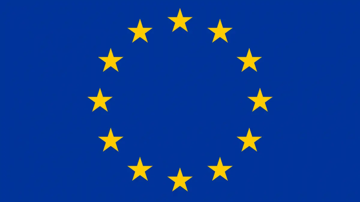 vestea abuzului anaf a ajuns pana la parlamentul european
