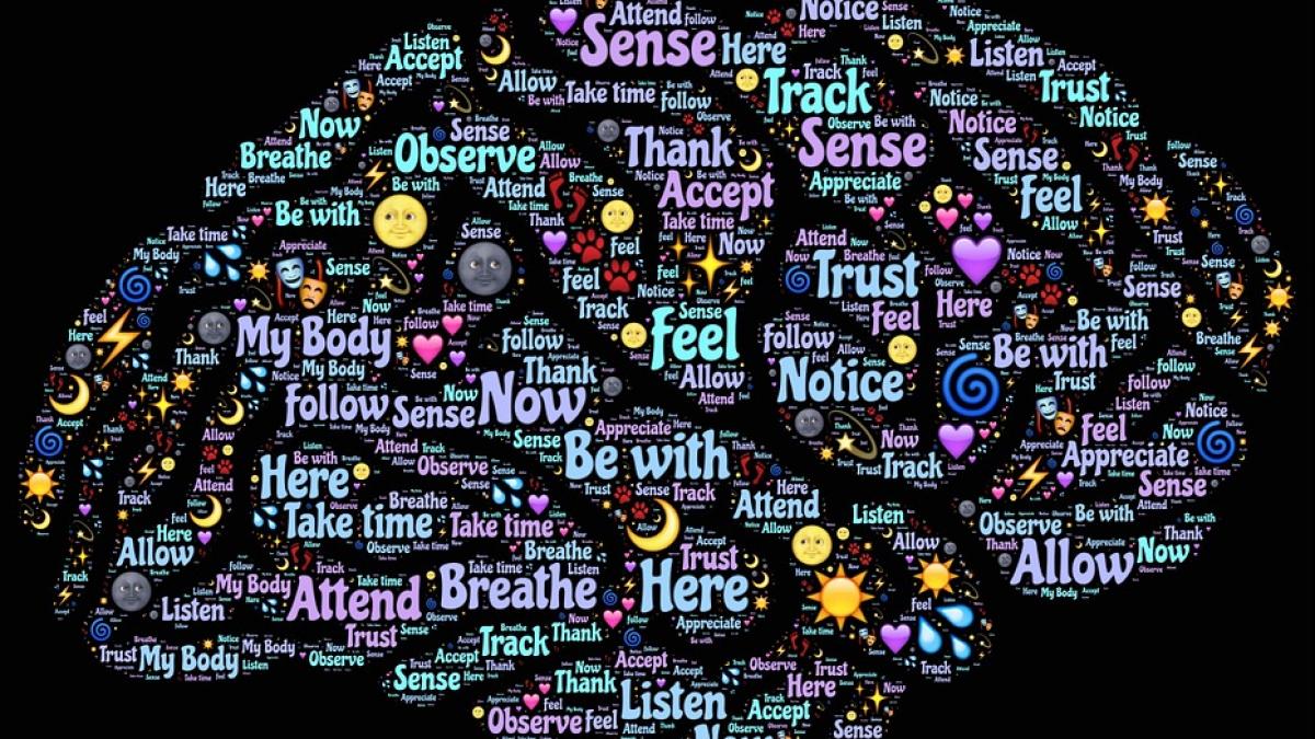 studiu creier daunator inteligenta energie