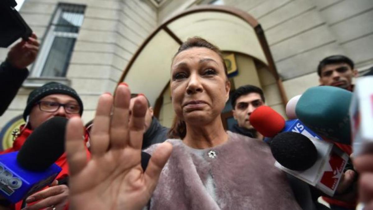 dna cerere arestare doina tudor