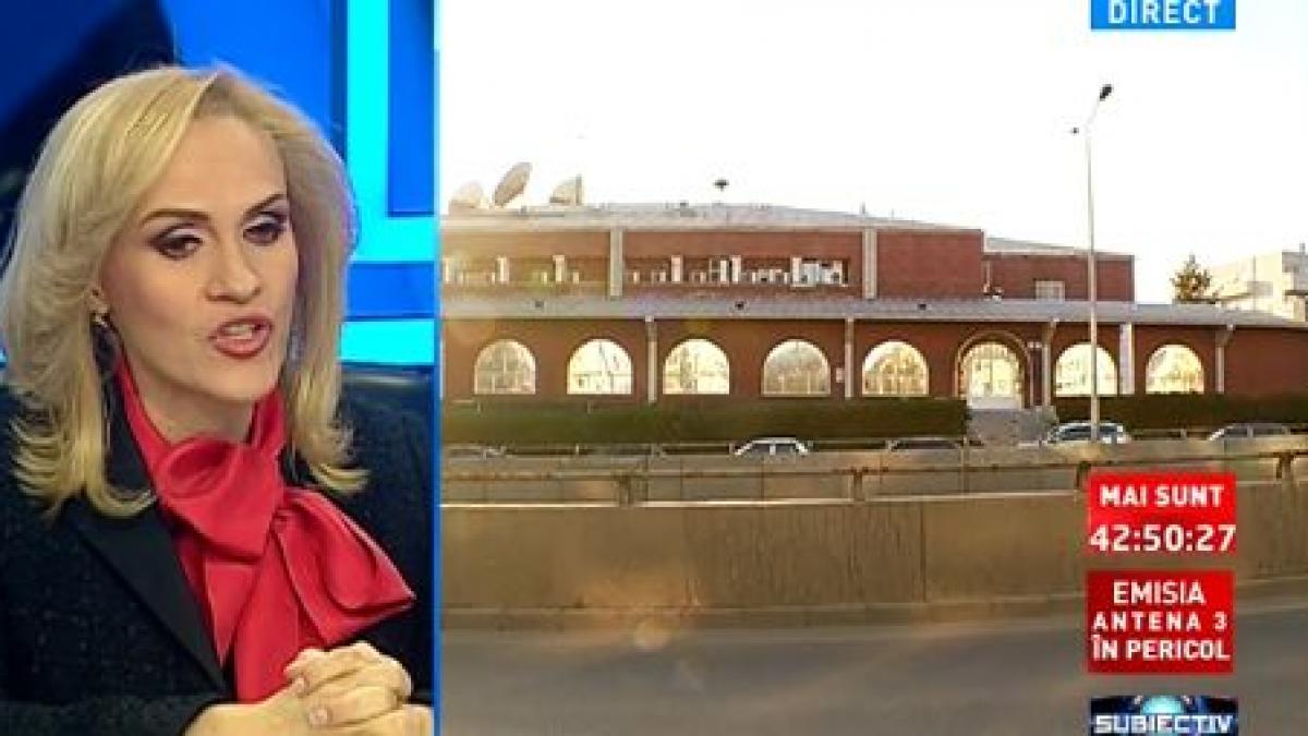 gabi firea guvern tehnocrat