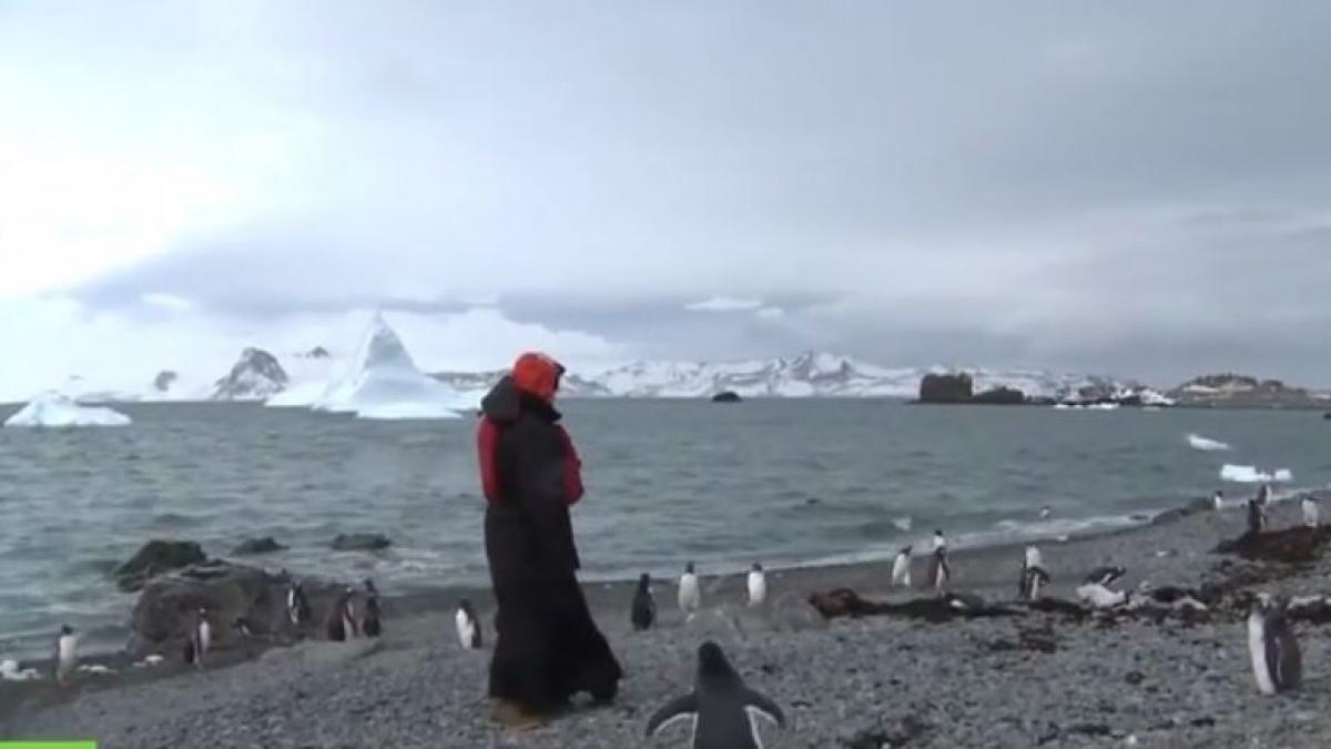 kiril patriarh rusia antarctica pinguini