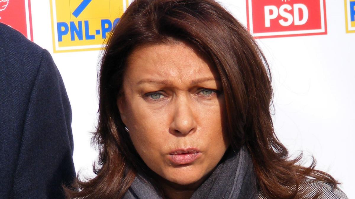 o senatoare pnl urmarita penal de dna