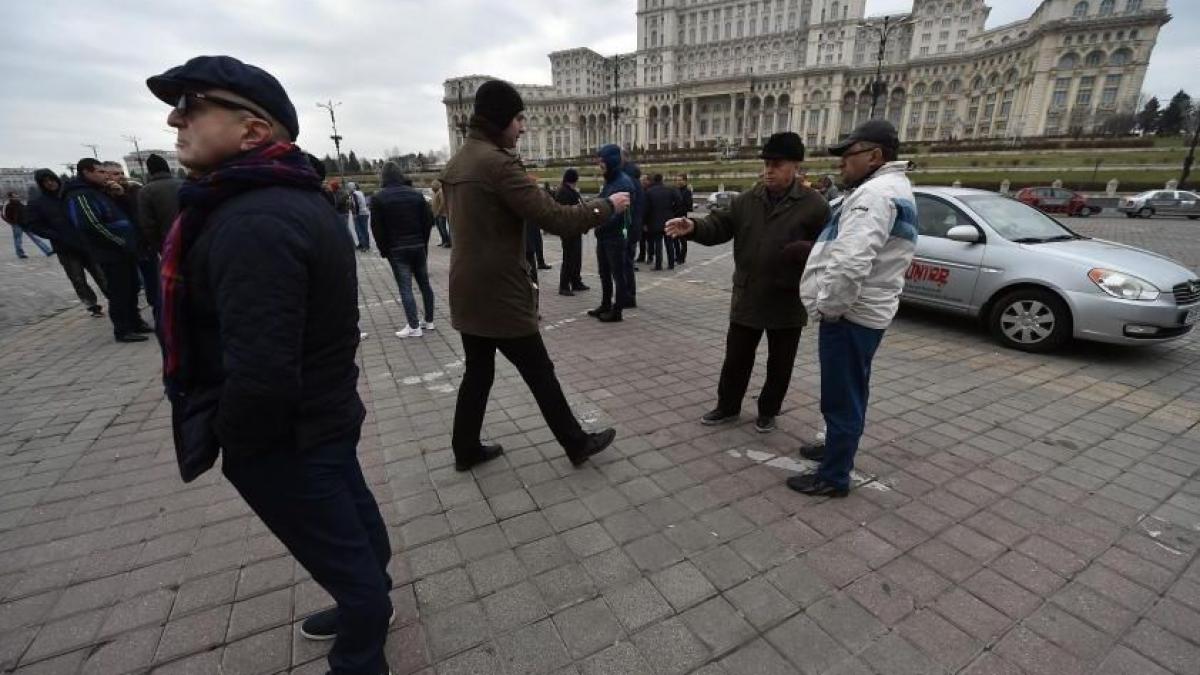 transportatori polite rca asiguratori parlament