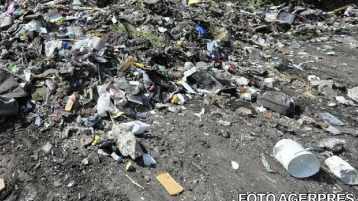 gropa de gunoi drum national aristide maxim