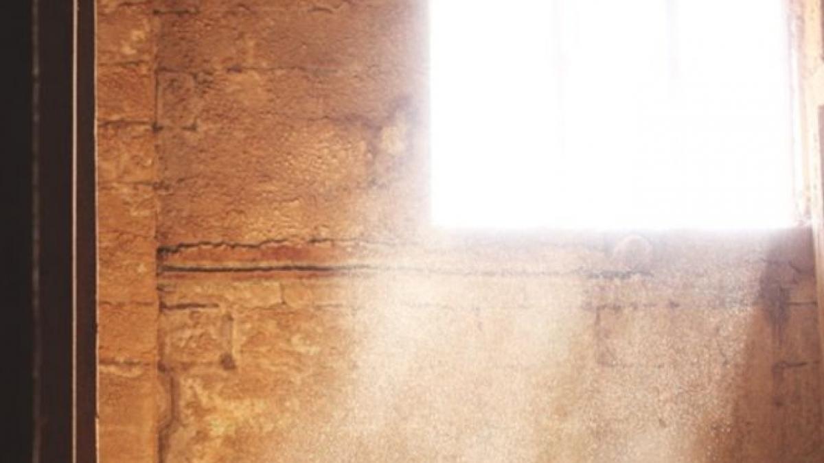 bucuresteni evacuati din casa din cauza mizeriei apartamentul transformat in focar de infectie