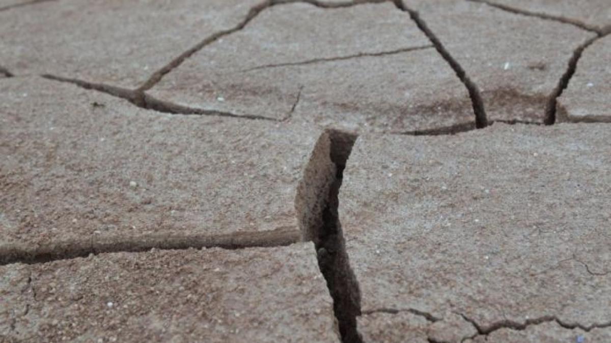 catastrofa care pandeste lumea araba este mai periculoasa decat prabusirea pretului petrolului