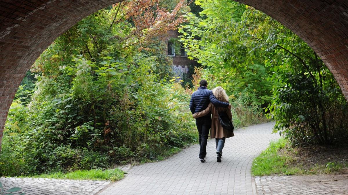 sara collins sot prostituate