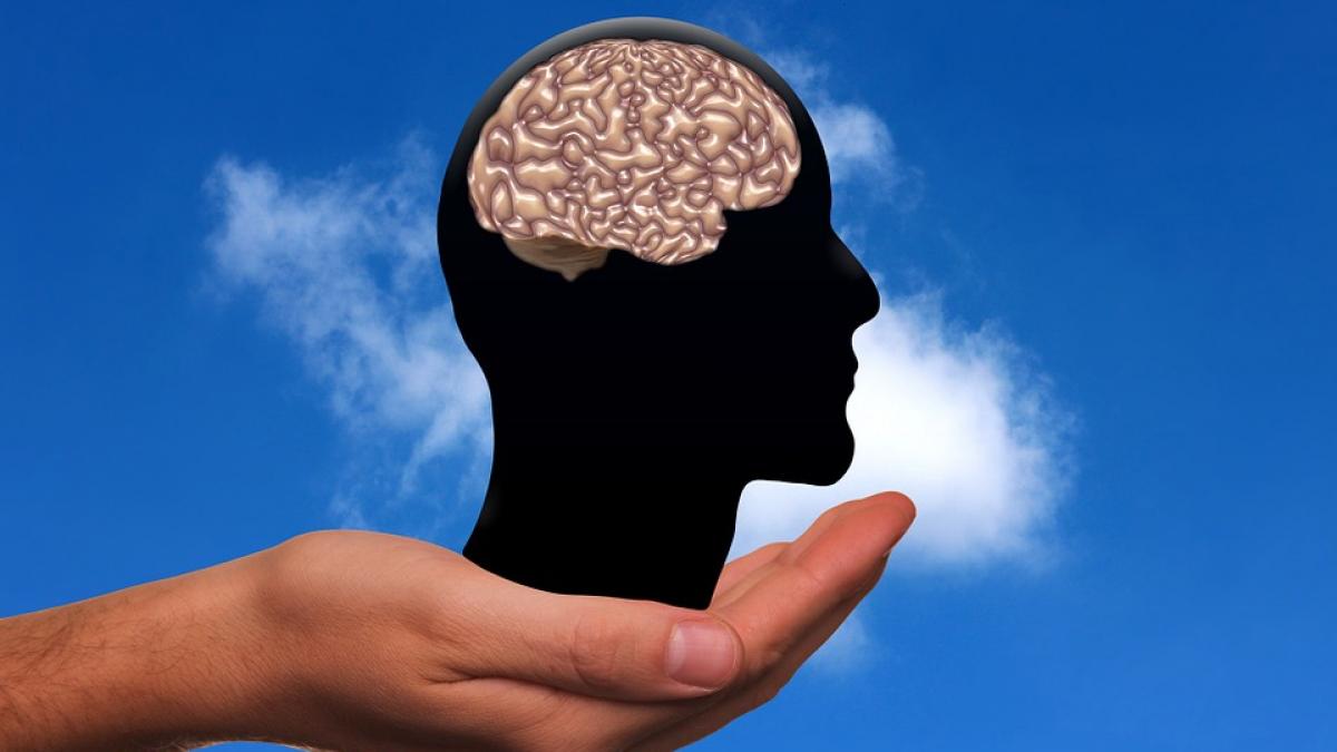 creier uman memorie internet