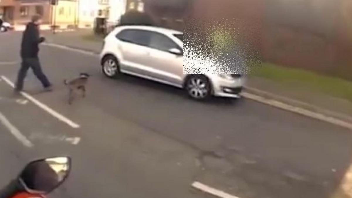 Cine este vinovat? Imaginile de la un accident ”au aprins” Internetul