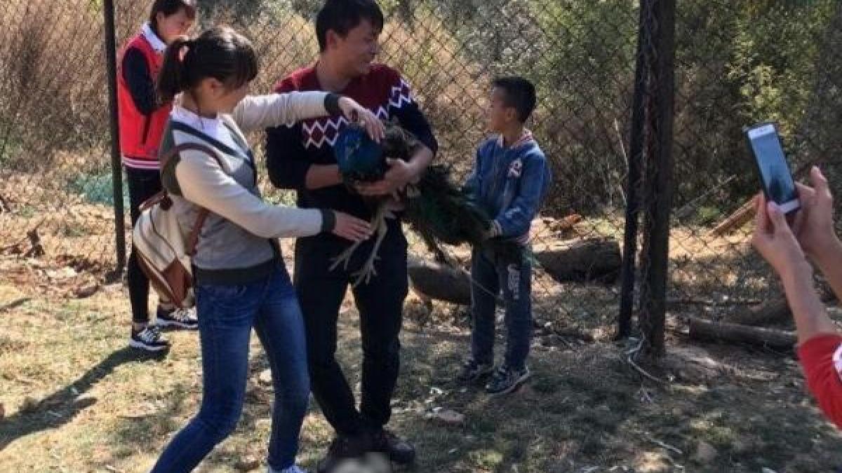 incident dramatic la o gradina zoologica imaginile au starnit furie pe internet