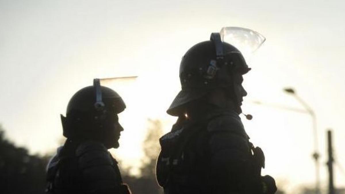 sosete acvila oprea elita unitate