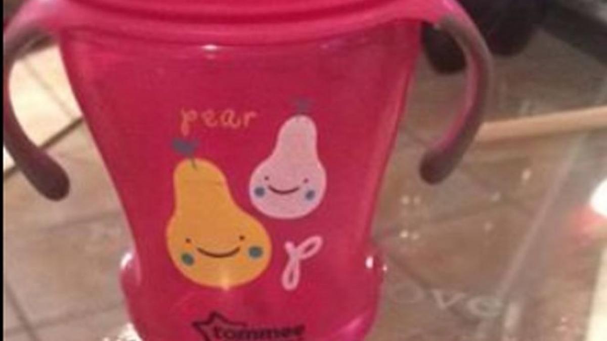 au cumparat o cana pentru copilul lor ce au descoperit cand au ajuns acasa