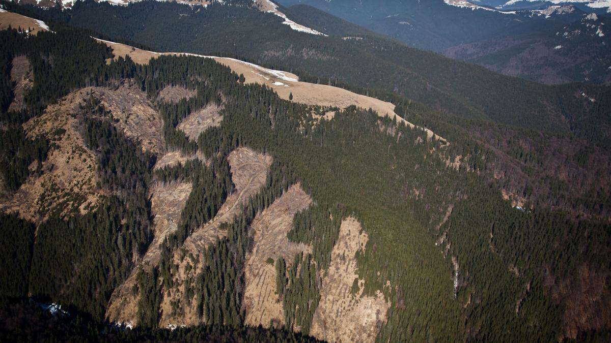 imagini cutremuratoare care arata dezastrul de pe muntii romaniei taierile ilegale de paduri sunt
