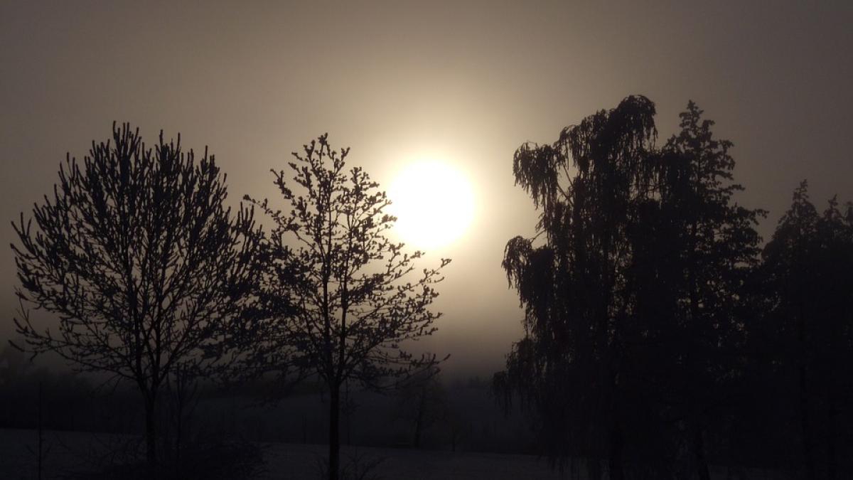 sarbatoare 25 februarie