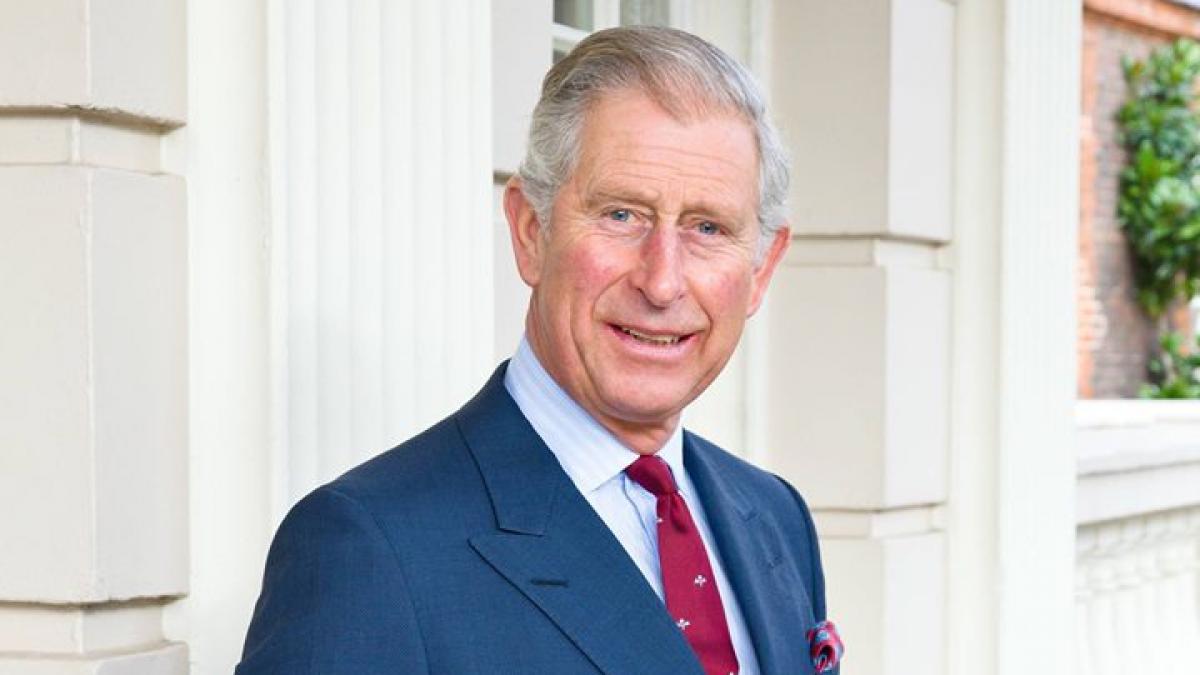 printul charles ingrijorat de defrisari