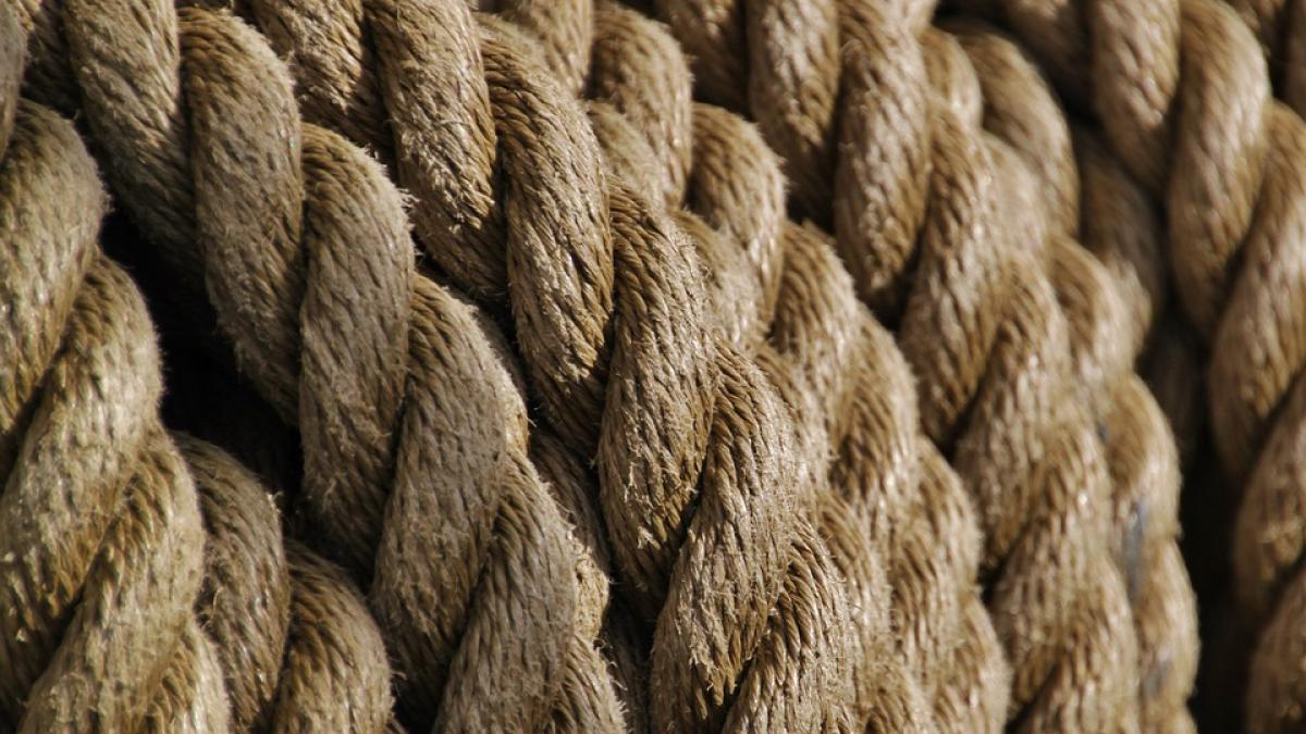 grajd tanar dej spanzurat tata