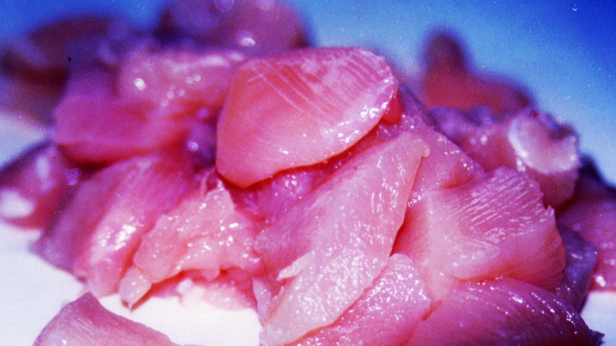 imaginile socante pe care oamenii din industria carnii nu vor sa le vezi