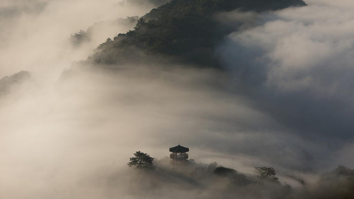 cod galben vant anm avertizare