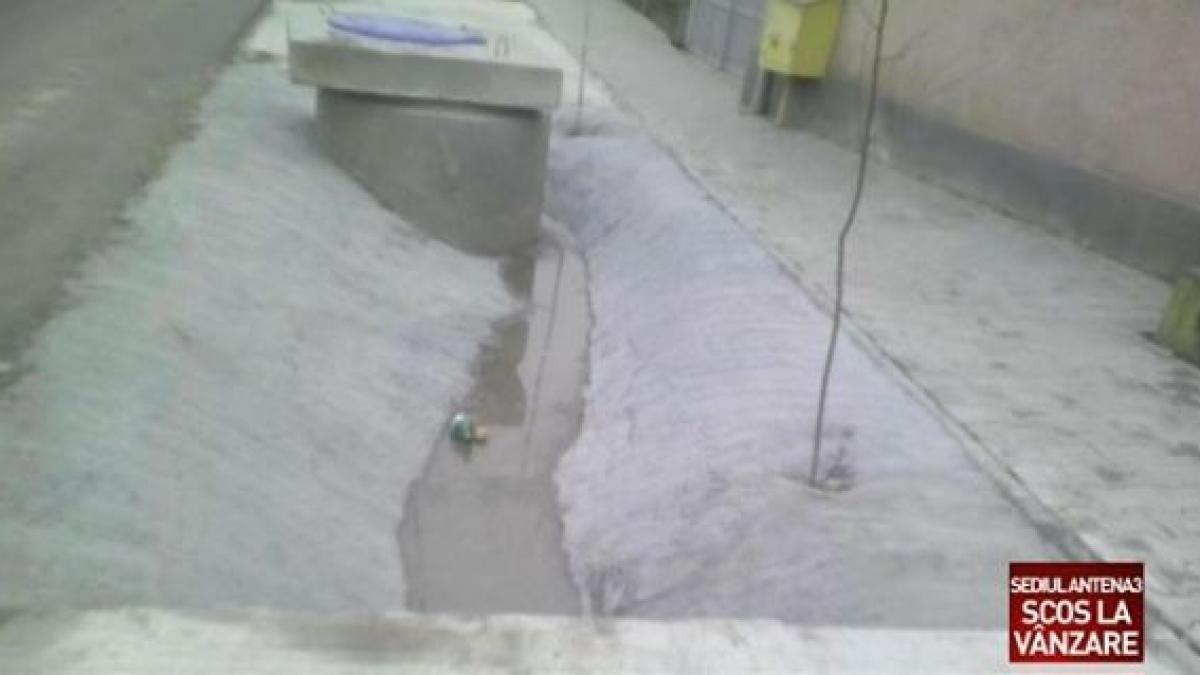 dorel copaci betonare strada dej