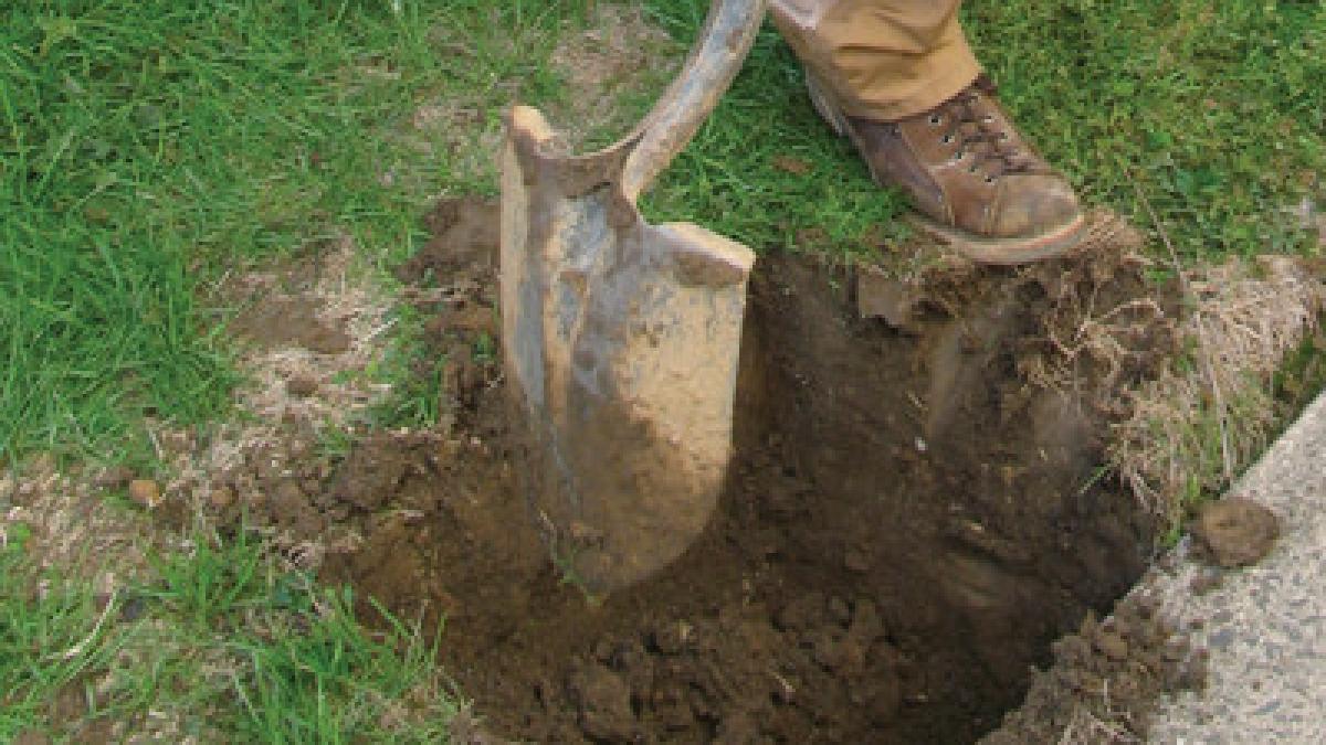 a cunoscut un barbat pe internet nu si inchipuia prin ce urmeaza sa treaca