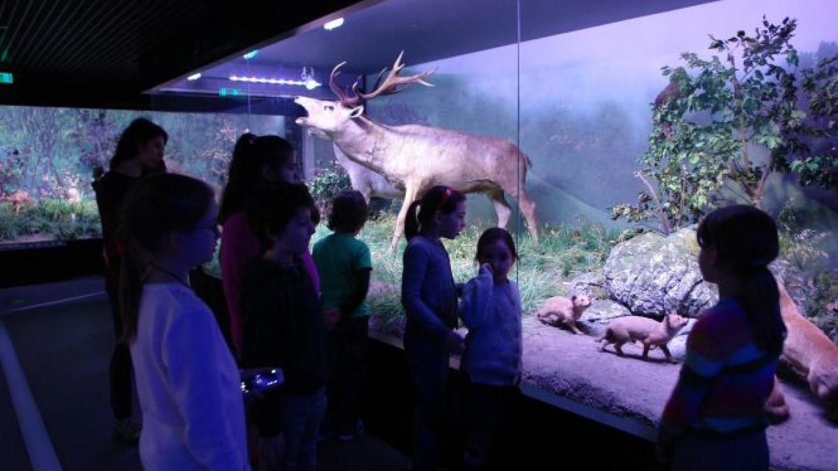 intrare gratuita la antipa de martisor