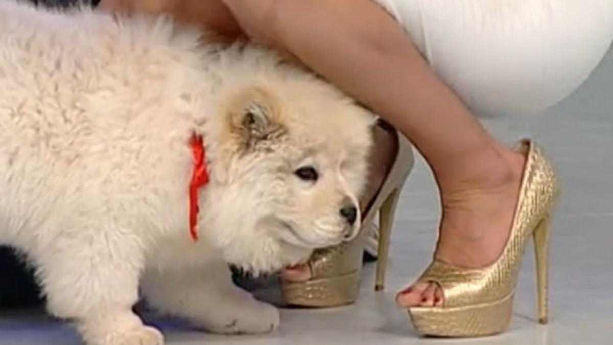 moment neasteptat in direct toti au ramas fara cuvinte cand au auzit o pe prezentatoare