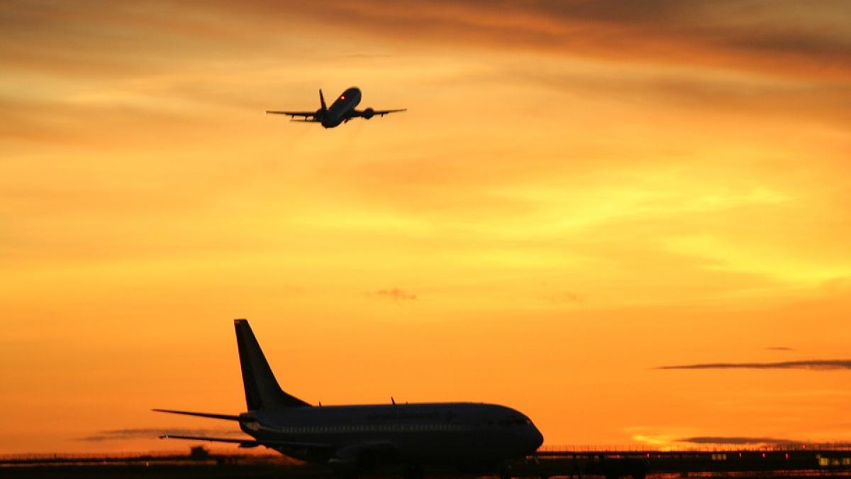 un avion de linie din china s a intors de urgenta pe aeroport de vina a fost un sobolan